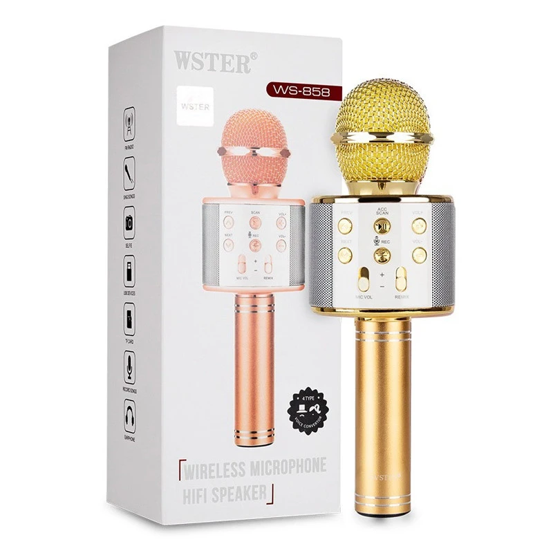 میکروفون اسپیکر وستر مدل WSTER WS-858