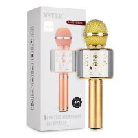 میکروفون اسپیکر وستر مدل WSTER WS-858