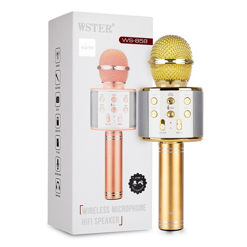 میکروفون اسپیکر وستر مدل WSTER WS-858