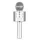 میکروفون اسپیکر وستر مدل WSTER WS-858