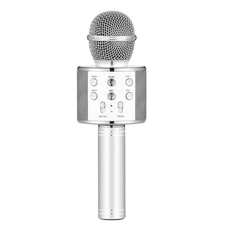 میکروفون اسپیکر وستر مدل WSTER WS-858