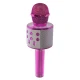 میکروفون اسپیکر وستر مدل WSTER WS-858