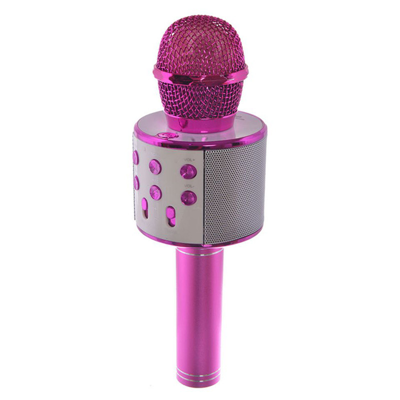 میکروفون اسپیکر وستر مدل WSTER WS-858