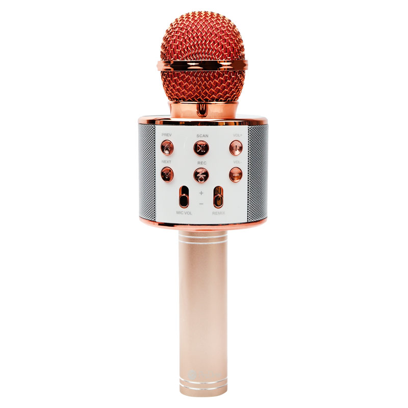 میکروفون و اسپیکر بلوتوثی ProOne PMB65 M01