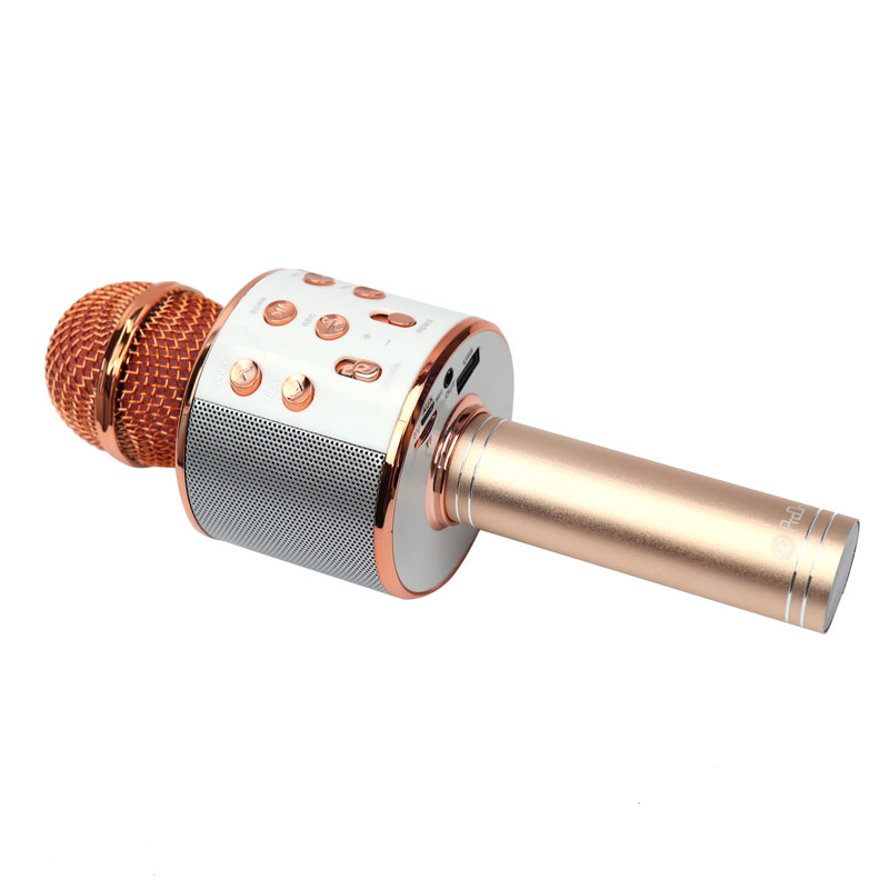 میکروفون و اسپیکر بلوتوثی ProOne PMB65 M01
