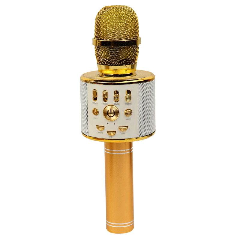 میکروفون اسپیکر WS-858L