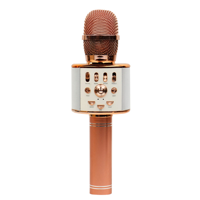 میکروفون و اسپیکر WS-858L