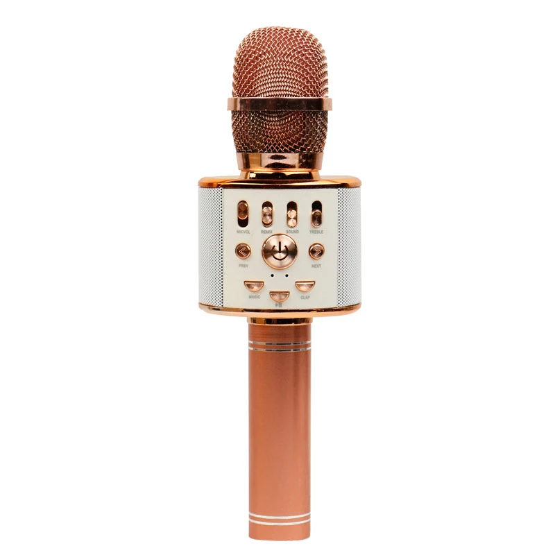 میکروفون اسپیکر WS-858L