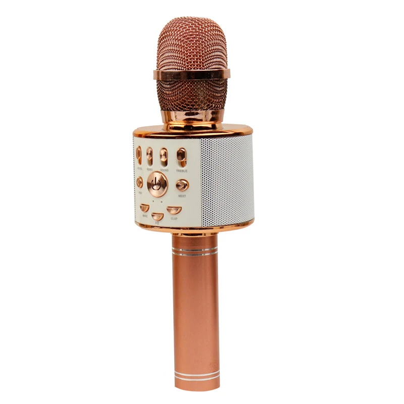 میکروفون اسپیکر WS-858L