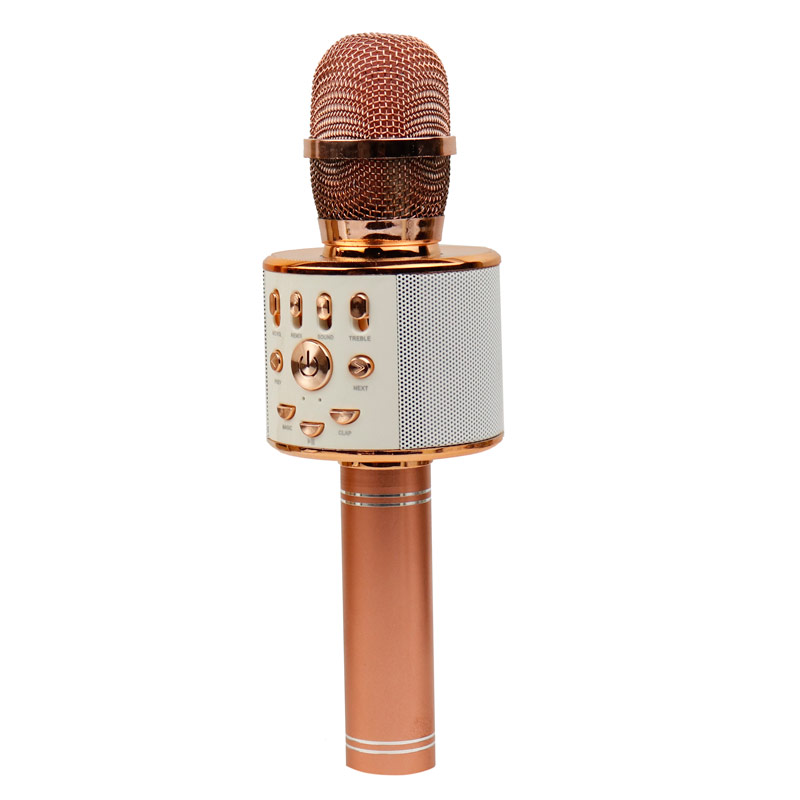 میکروفون اسپیکر WS-858L
