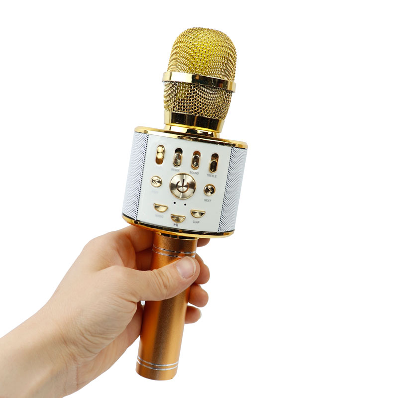 میکروفون اسپیکر WS-858L