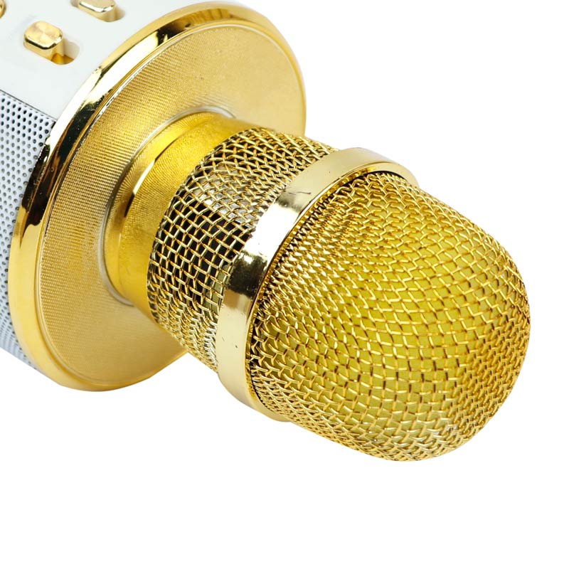 میکروفون اسپیکر WS-858L