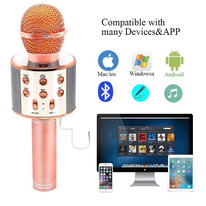 میکروفون و اسپیکر اورجینال WSTER WS-858