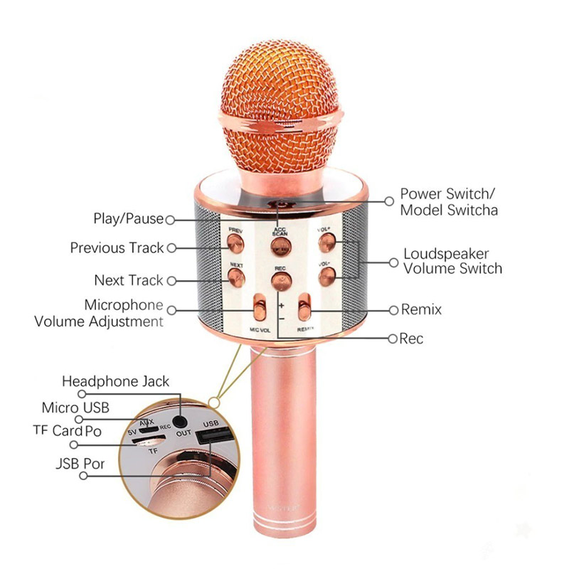 میکروفون و اسپیکر اورجینال WSTER WS-858