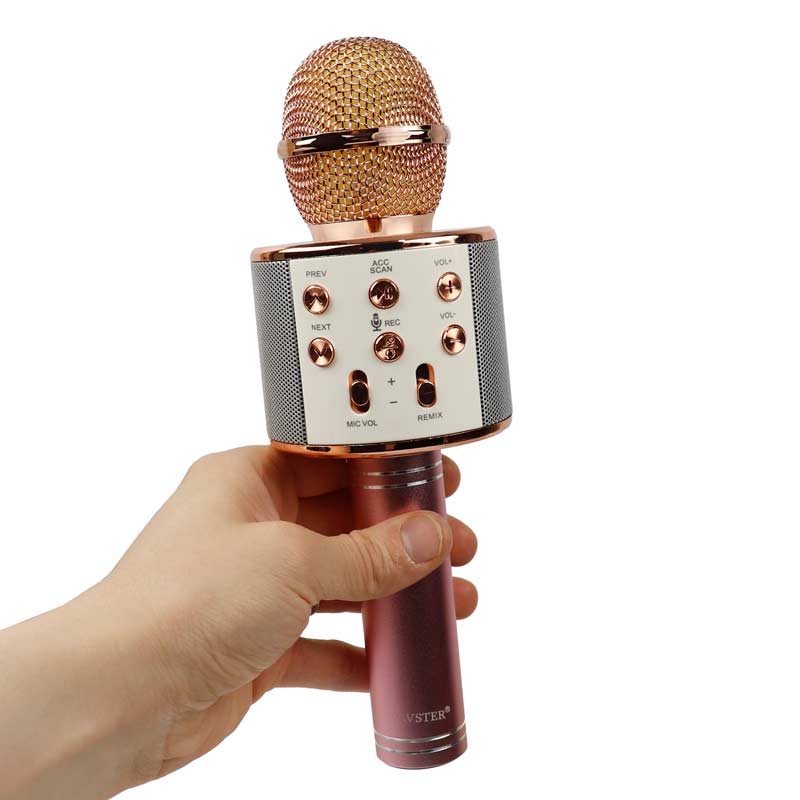 میکروفون و اسپیکر اورجینال WSTER WS-858
