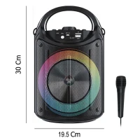 اسپیکر چمدانی بلوتوثی رم و فلش خور ZQS6122 + میکروفون