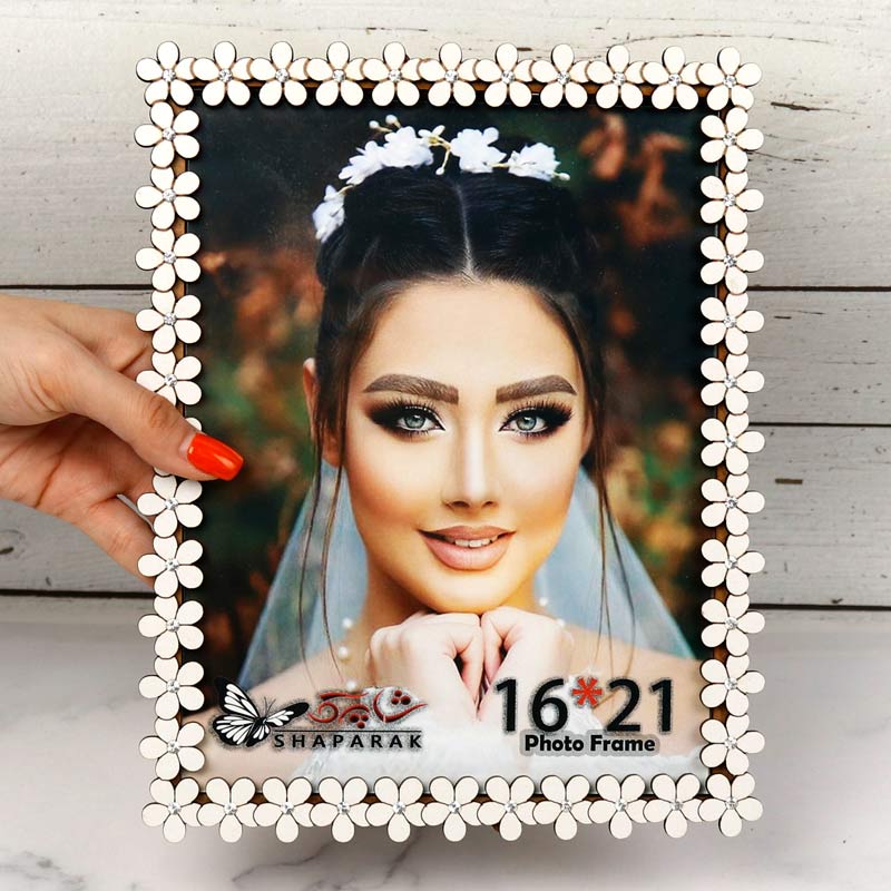 قاب عکس شاپرک ۲۱*۱۶ سانتی متر