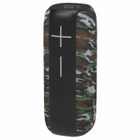 اسپیکر بلوتوثی رم و فلش خور Hopestar P15 Pro