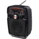 قیمت رادیو اسپیکر فلش خور KTF-1420