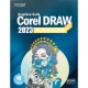 CorelDRAW 2023 Graphics Suite + Collection 1DVD9 نوین پندار