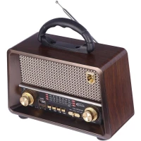 رادیو اسپیکر بلوتوثی رم و فلش خور Yuegan YG-225US-BT