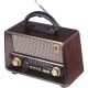 رادیو اسپیکر بلوتوثی رم و فلش خور Yuegan YG-225US-BT