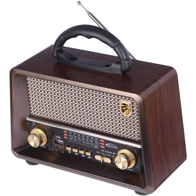 رادیو اسپیکر بلوتوثی رم و فلش خور Yuegan YG-225US-BT