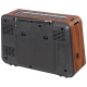 رادیو اسپیکر بلوتوثی رم و فلش خور Golon RX-BT1008SQ + ریموت کنترل