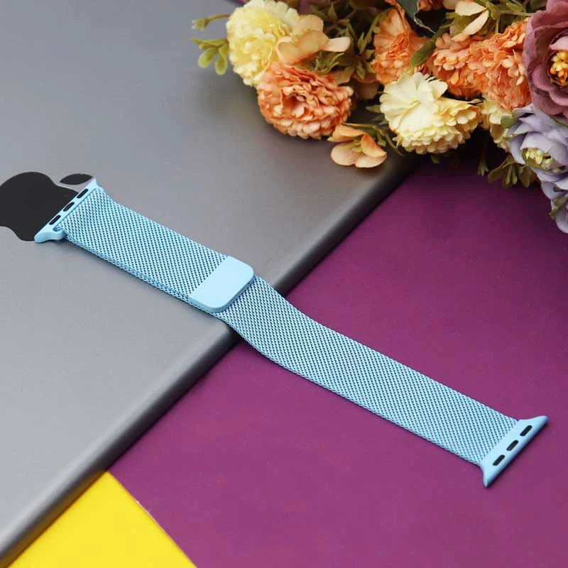 بند Milanese اپل واچ ۴۲/۴۴mm