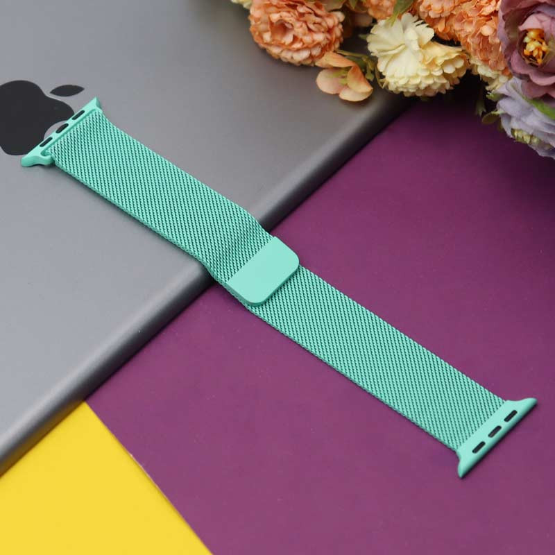 بند Milanese اپل واچ ۴۲/۴۴mm