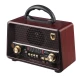 رادیو اسپیکر بلوتوثی رم و فلش خور Yuegan YG-227BT