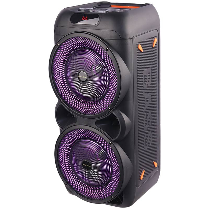 اسپیکر چمدانی بلوتوثی رم و فلش خور RS-D33 + میکروفون و ریموت کنترل