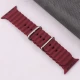 بند اپل واچ طرح پافر 42/44/45/49mm