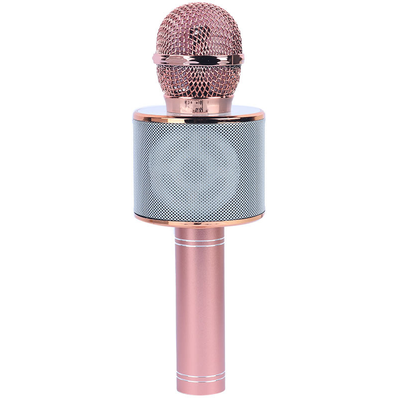 میکروفون و اسپیکر Godfrey WS-858L