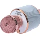 میکروفون و اسپیکر Godfrey WS-858L