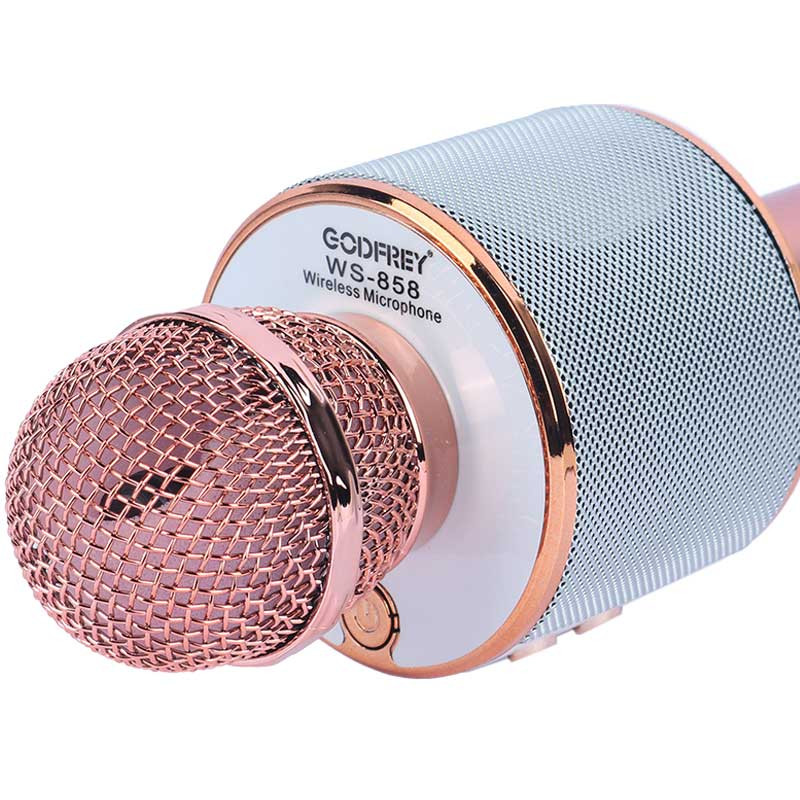 میکروفون و اسپیکر Godfrey WS-858L