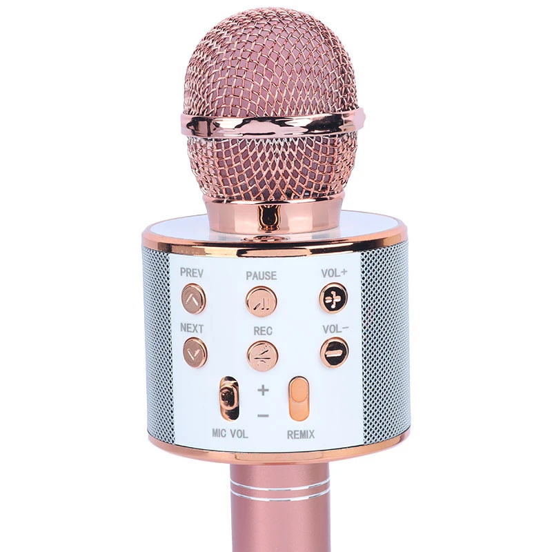 میکروفون و اسپیکر Godfrey WS-858L