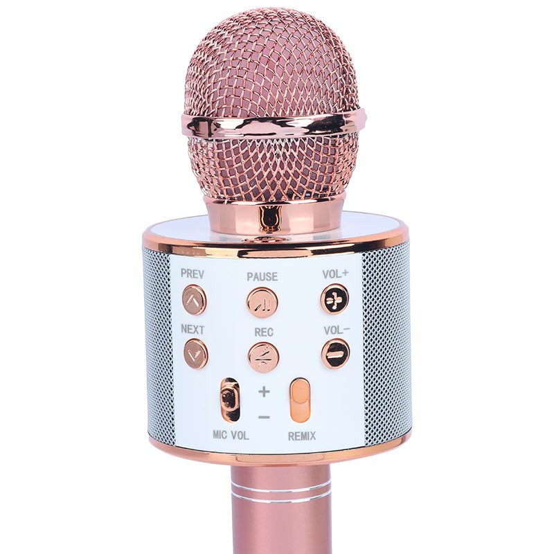 میکروفون و اسپیکر Godfrey WS-858L