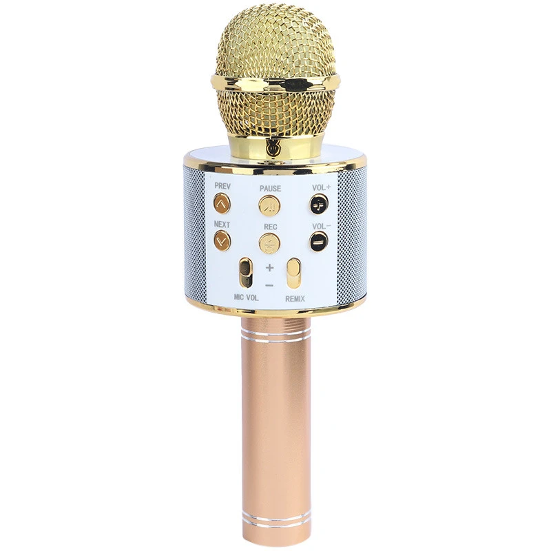 میکروفون و اسپیکر Godfrey WS-858L