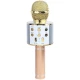 میکروفون و اسپیکر Godfrey WS-858L