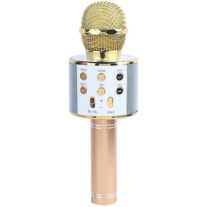 میکروفون و اسپیکر Godfrey WS-858L