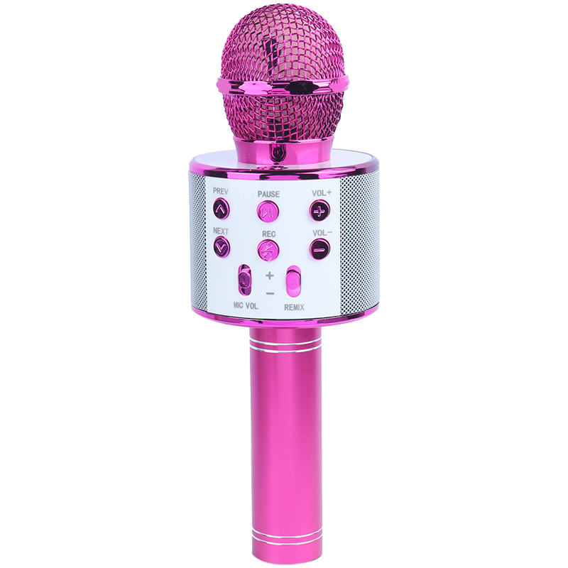میکروفون و اسپیکر Godfrey WS-858L