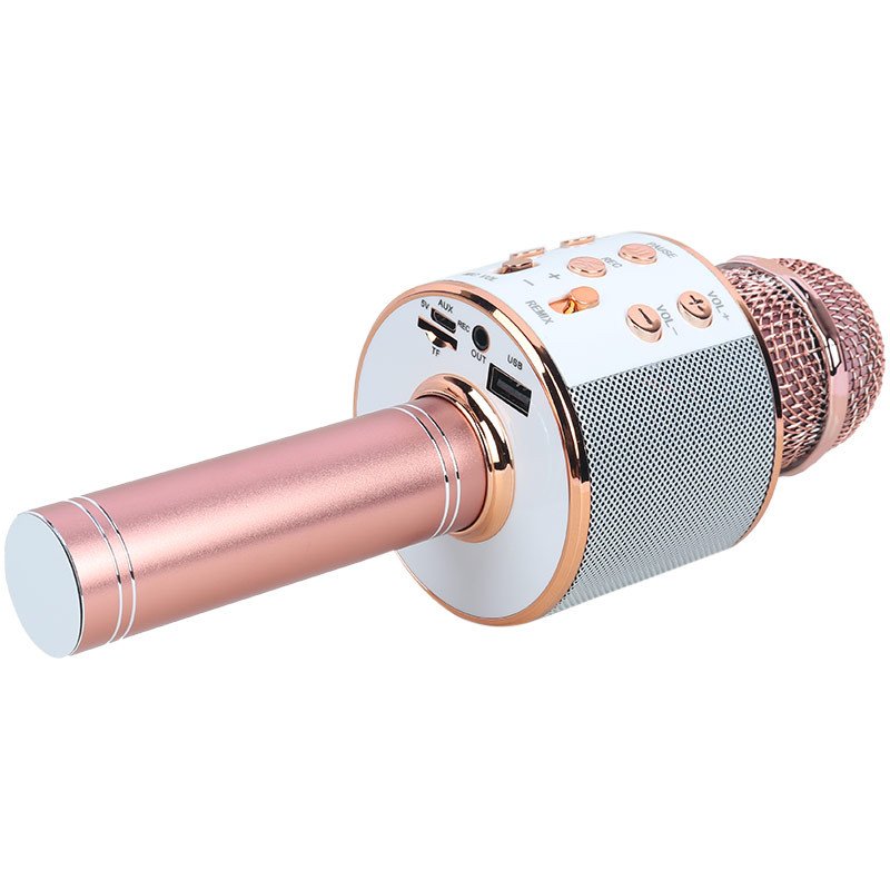 میکروفون و اسپیکر Godfrey WS-858L