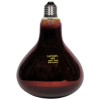 لامپ مادون قرمز لامپ نور Lamp Noor E27 250W
