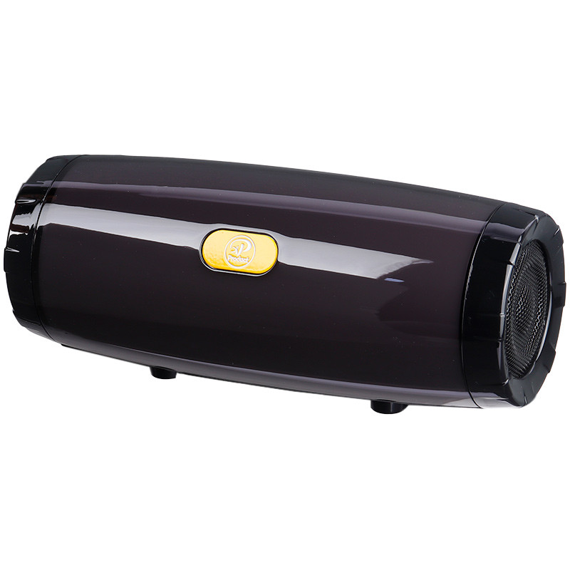 اسپیکر بلوتوثی رم و فلش خور XP-Product XP-B613G
