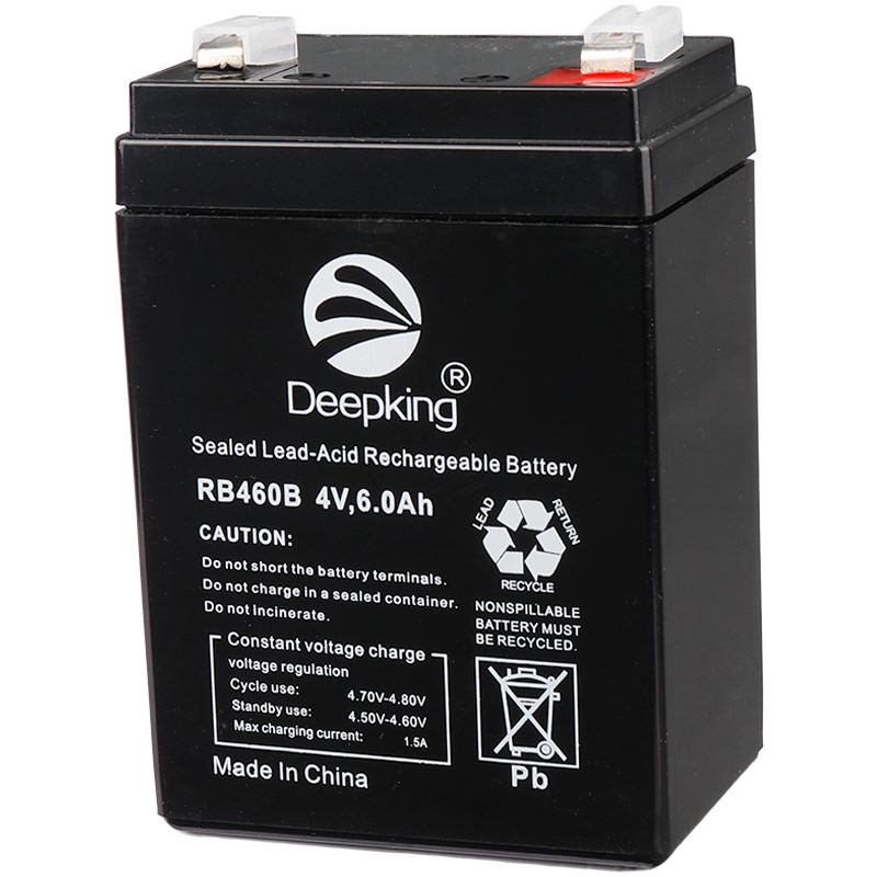 باتری 4 ولت Deepking RB460B 6000mAh