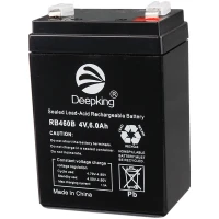 باتری 4 ولت Deepking RB460B 6000mAh