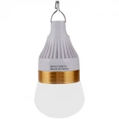 لامپ آویزدار شارژی Deepking DK-169 10W