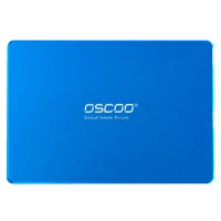 حافظه SSD اوسکو Oscoo Blue 001 256GB