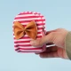 کیف هندزفری کوله ای مخمل پفکی راه راه
